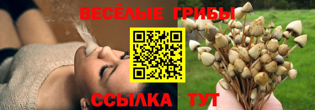 наркота  Псилоцибиновые грибы ЛСД  Вход с VPN  Ульяновск 